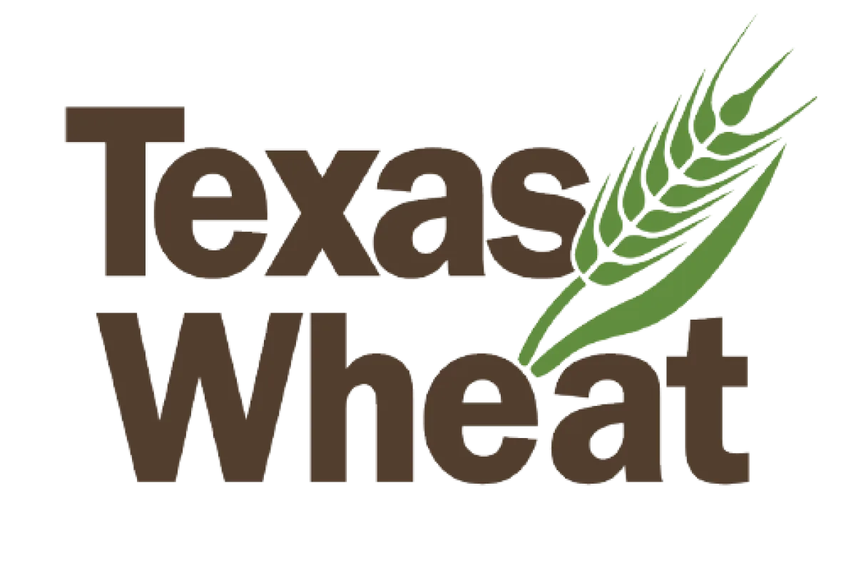 Texas Wheat