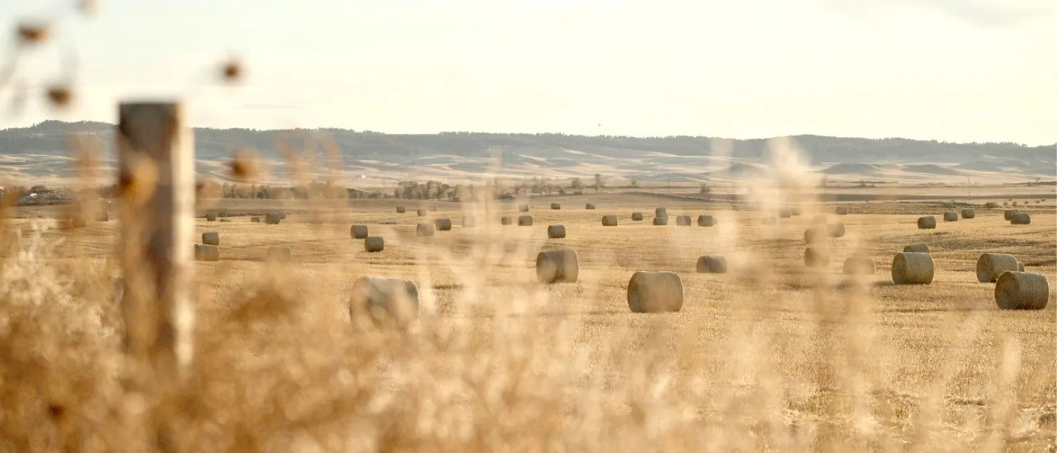 Invest in Our land Session
