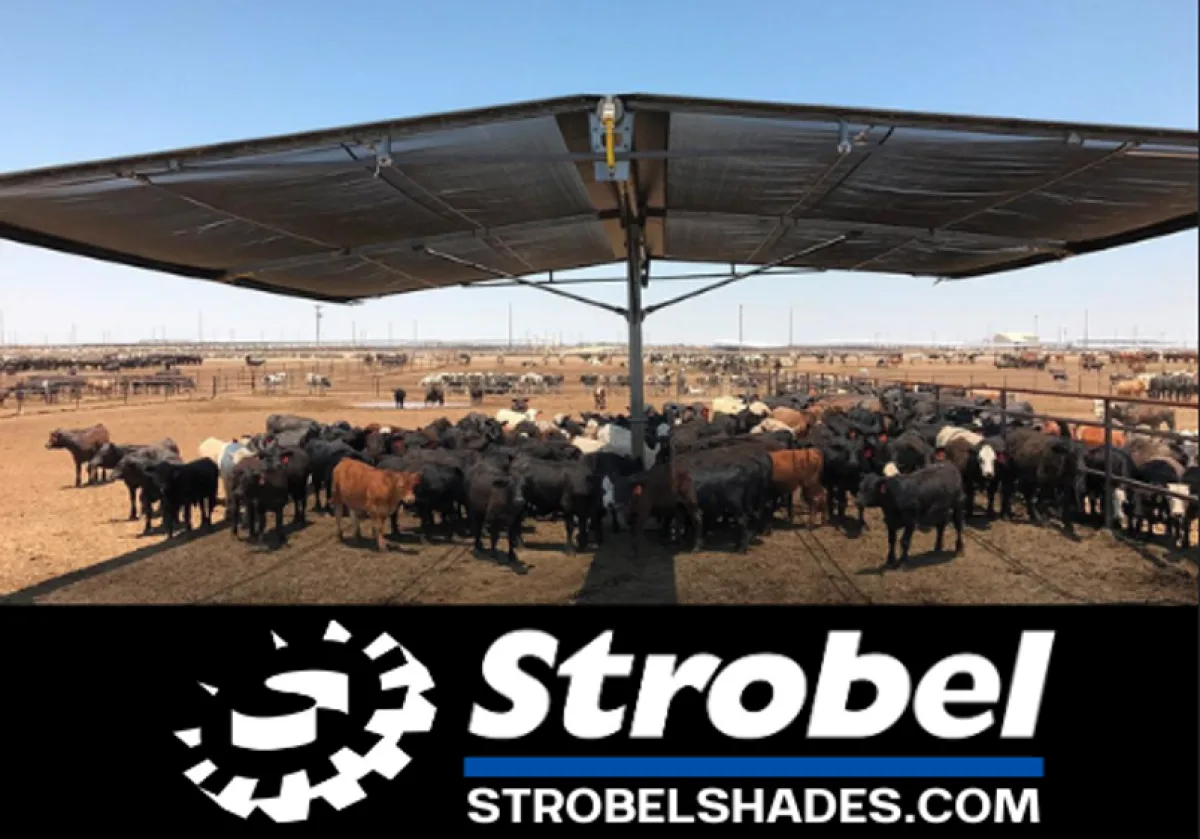 Strobelshades with logo smaller