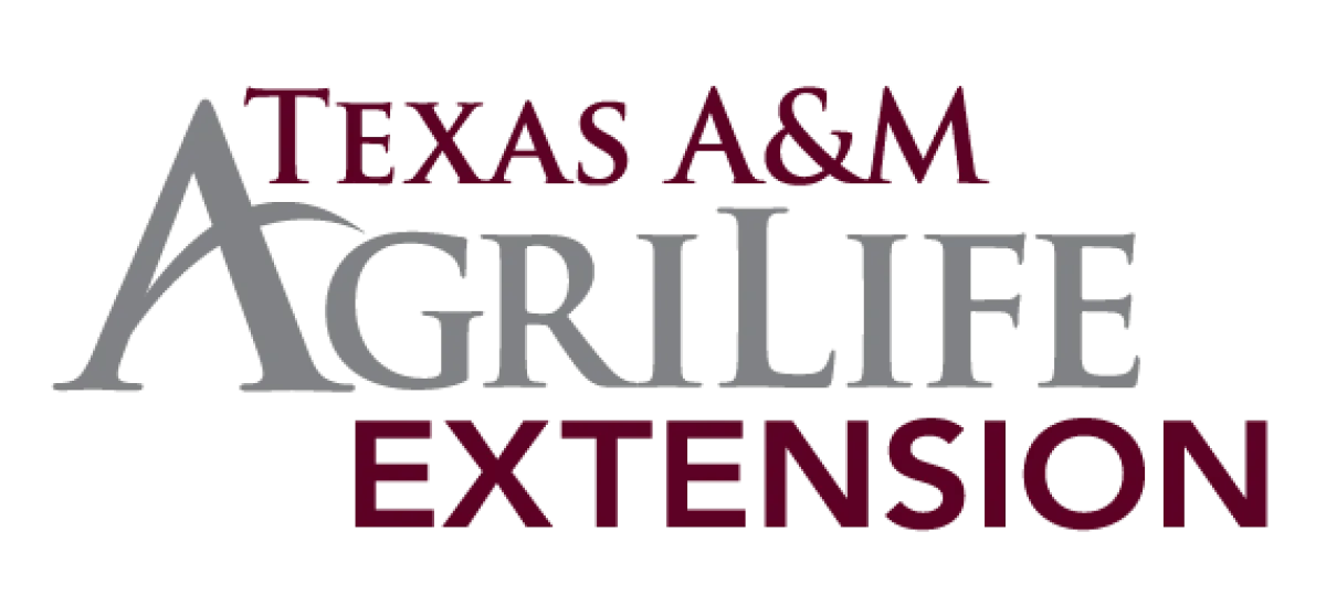 AFRS19 TX AM Agri Life Ext