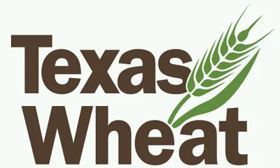 Texas Wheat